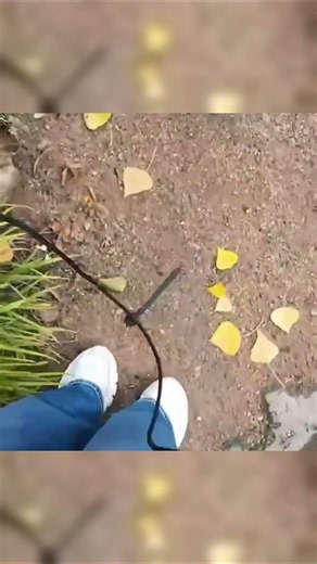 Das gefährlichste Hindernis aller Zeiten 🏃‍♀️