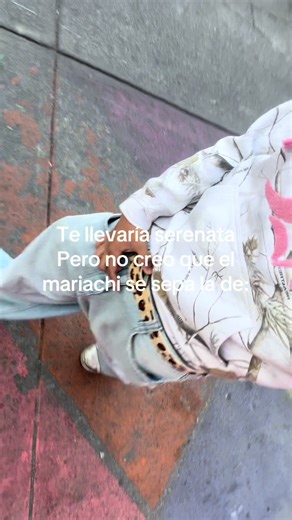 Serenata y Mariachi: Una Reflexión Divertida