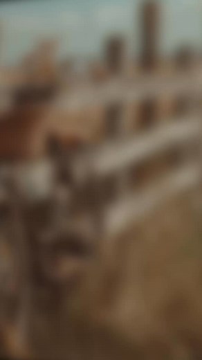 15 reactions | BEST NEW POP SONG FOR YOUR PLAYLIST | New Music Discovery | Facebook