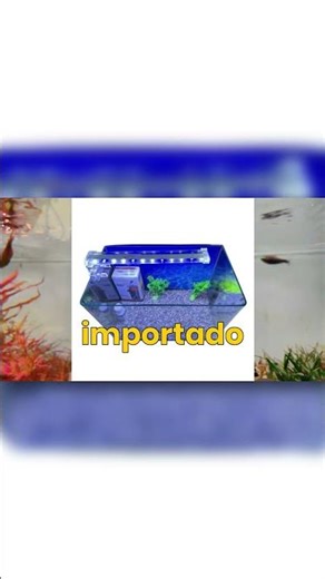 How much does a fish tank cost? Quick guide #RalfishAquariums #fish