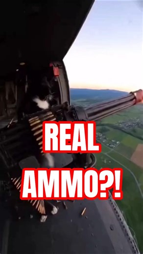 This Cat Started Firing Real Ammo from a Helicopter… 😳🚁
