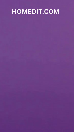 3K views |  Transform a plastic bottle into a functional and trendy zipper pencil case! Watch this quick and creative DIY in our YouTube Reels video. ♻️✏️ #DIYCrafts #Upcycling #PencilCase" | Homedit | Facebook