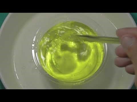 【ガチプロ講座】カエルを薬浴する方法！！