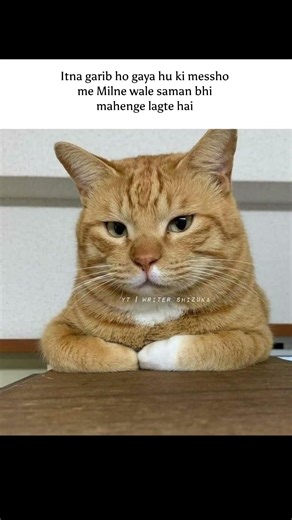 no tital...🫠 #memesworldofficial #funny #catmemes #amazingmemes #memehub