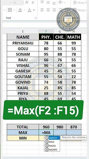 How to Use SUM, MAX and MIN Functions in Excel (Step by Step) #excel #spreadsheets#viral #viralvideo