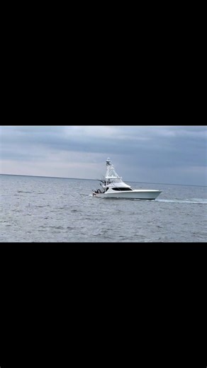 2025 Sport Fishing Highlights: Blue Marlin Adventures