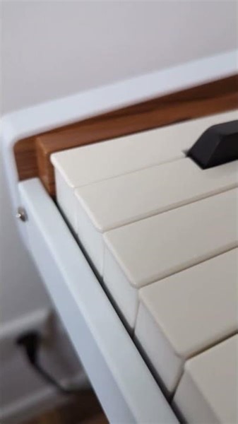 KeyLab keys too loud? Check screws! #shorts #arturia #keylab