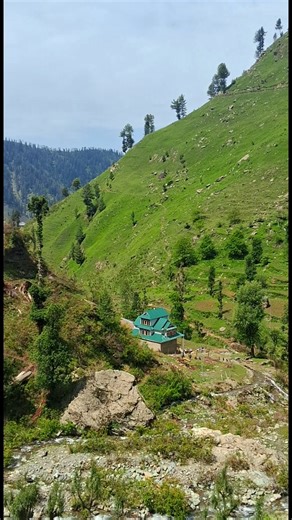 15K views · 2.8K reactions | charming beautiful nature | Islamic peace page | Facebook