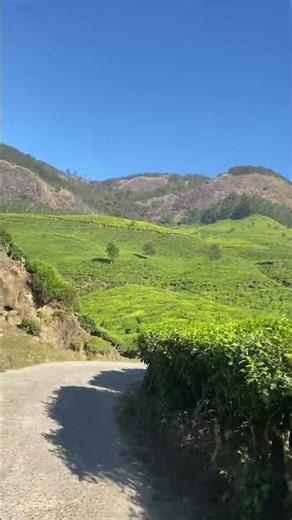 ⛰️
