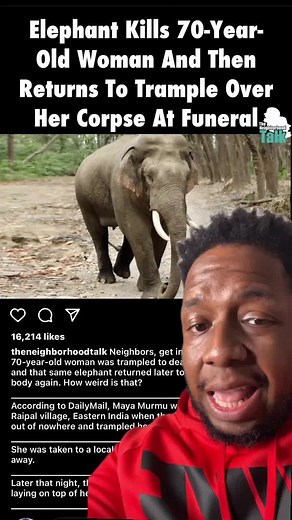 Elephant Kills Woman and Crashes Funeral: Shocking Video