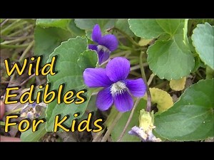 6 Wild Edible Plants For Kids