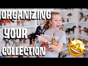 HOW TO ORGANIZE YOUR BREYER COLLECTION!!!