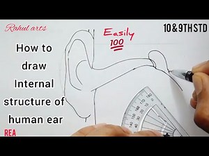 How to draw Internal structure of human ear | Auditory parts