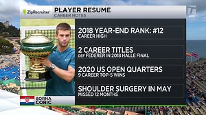 Ziprecruiter Player Resume: Borna Coric