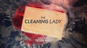 The Cleaning Lady