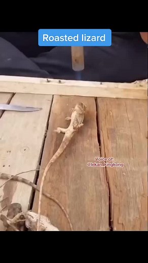 How to prepare roasted lizard 🏃🏃