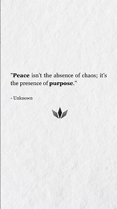 The true definition of peace… #quotes #wisdom #philosophy #motivation #advice #fyp #viral #like