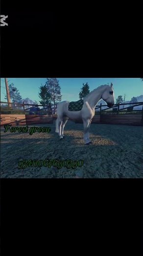 (Part two) saddlepad codes!!#idkwhattoputherebahahah