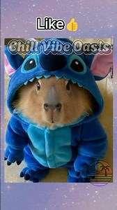 Choose your Capybara 🦫✨💖 #capybara #capy #aesthetic #viral #trending #shorts #fyp #nostalgia