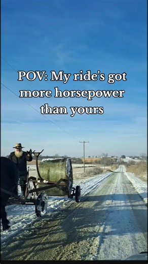 Exploring Amish Life and Culture Through Books and Rides