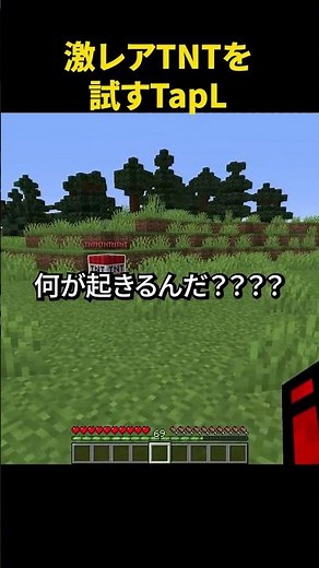 激レアTNTを試すTapL