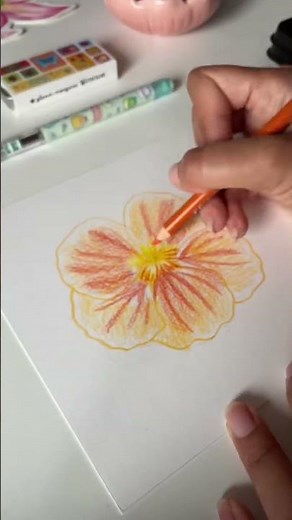 Tutoriel d’une Capucine au crayon de couleur 🌼✏️ #apprendreledessin #art #crayondecouleurs #dessin