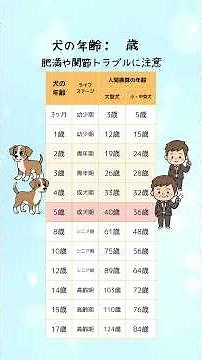【保存版】犬と人間の年齢換算表2025 その時期に注意するポイント付