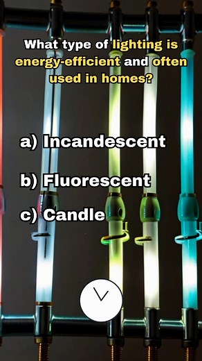 Electrical Wiring Types #electricaltips #electrician #electricalwork #electricalquiz #electricalwiringinstallation #electricalwiring #electrical_house_wiring