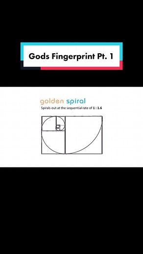 Exploring the Golden Ratio: God's Fingerprint in Nature