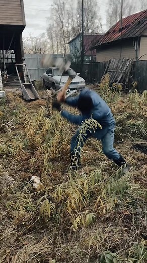 How Russians Chill. #minivlog #vlog #russia