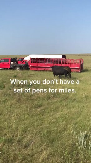 Zack Peters on TikTok