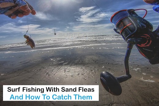 | Surfcasting Republic