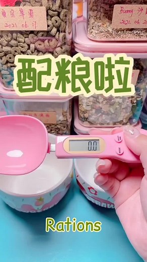 What Do Hamsters Eat?