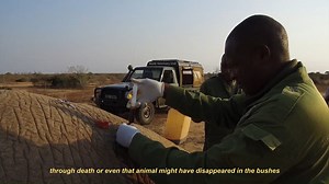 25K views · 2.9K reactions | Stopping animal suffering and saving...