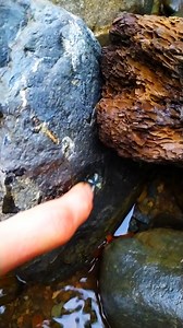 Conoces la piedra cruz #laraquete #bosquenativo #cordilleradenahuelbuta #gastronomia #Ruta160 #turismorural #vacaciones #ProvinciadeArauco #turismo #piedracruz | Laraquete Biobío - Chile