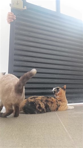 Se pasaron de la raya