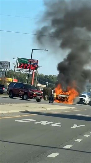 58K views · 137 reactions |  TRÁFICO  Comunidad que viaja por la U.S. 431 en Boaz tomen precaución mientras manejan.  Video cortesía de Jolyn Chomper | La Jefa Alabama | Facebook