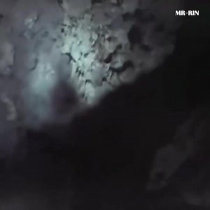 2.8K views · 21 reactions | 562025 2 Epic Happiness Alert! Watch and Smile Away  #AvatarMovie #Na'vi #CinemaMagic #FilmMagic #SciFiAdventure #BeyondTheHorizon #Avatar2 | Digital Movie | Facebook