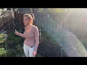 Happy Thanksgiving LIVE: Lavender May American Rooted Flower Farm is live!