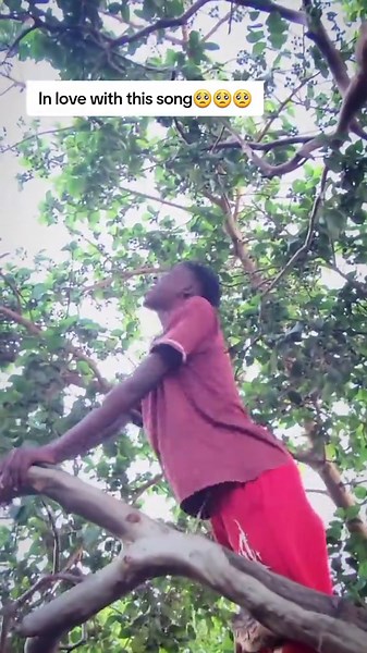 This song is lovely🥺🥺❤️❤️❤️#foryoupage❤️❤️ #viralt #trendingvideo #zimtiktokers🇿🇼🇿🇼🇿🇼