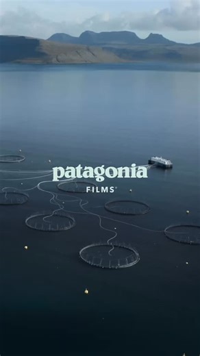 27 reactions |  Factory fish farms don’t belong in our oceans. They...