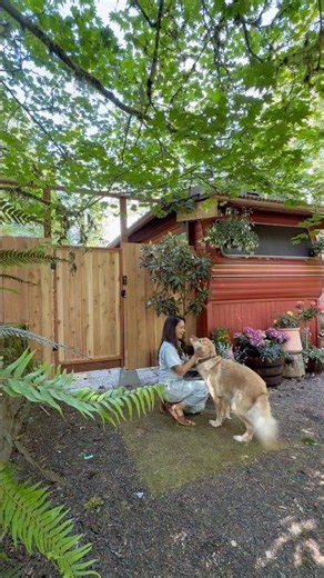 Turning my unfinished cottage entrance into a hidden garden gate 🌿