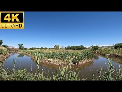 Virtual Hike: Becker Lake Wildlife Area