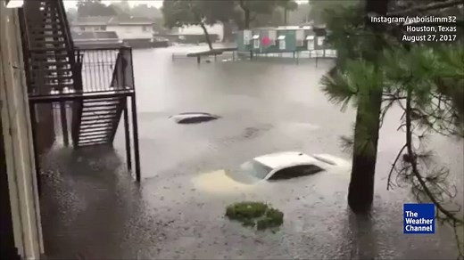 Cars are almost completely covered in this parking lot in Houston | The Weather Channel
