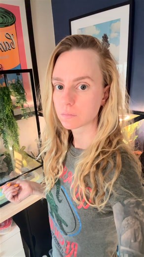 Maria Frogs on Instagram: "Frog tour. . . . #frog #toad #frogs #pets #animals #cute #funnypets #funnyanimals #reptiles #pacmanfrog #pixiefrog #rainfrog #bullfrog #treefrog #salamander #chubbyfrog #lazy"