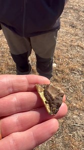 92K views · 1.3K reactions | It was a warm day not so long ago when Dave H was on a mid week metal detectives group dig and went and found a rather battered and bent gold hammered coin. Despite the fact it’s seen far better days it’s still a gold hammered for Dave. And very well deserved as well. Top find for a top bloke. #metaldetecting #detectorists #metaldetectingfinds | The Metal Detectives Group | Facebook