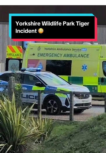 Yorkshire Wildlife Park Tiger Incident: What Happened in Doncaster?