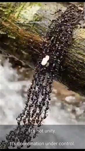 Team Work! #motivation #cordination #unity #school #love