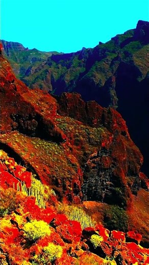 Stunning Dolby Vision HDR 8K at 120FPS #DolbyVision #HDR #8K