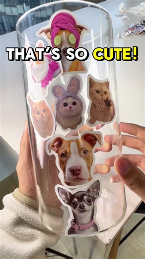 Meme Stickers: Adding Cuteness to Life